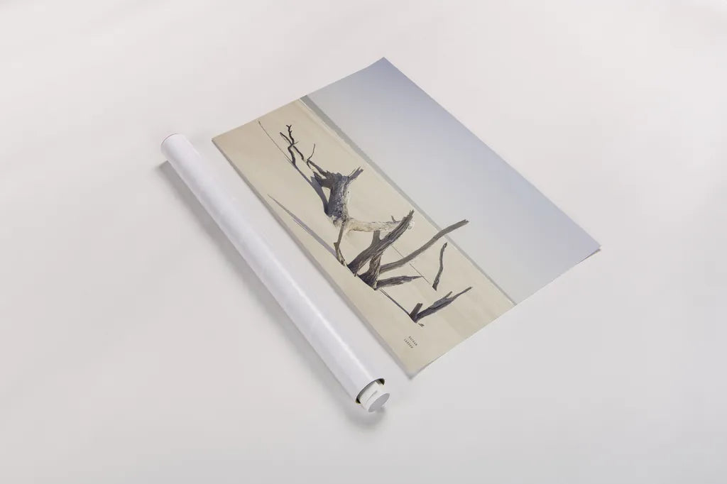 Georgia Driftwood I by Nathan Larson. shown as a rolled paper print. Available as archival giclee rolled canvas, fine art paper, or poster print. SKU 85273i.