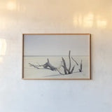 Georgia Driftwood I by Nathan Larson. shown as a paper print in a natural frame. Available as a archival giclee rolled canvas, fine art paper, or poster print. SKU 85273i.