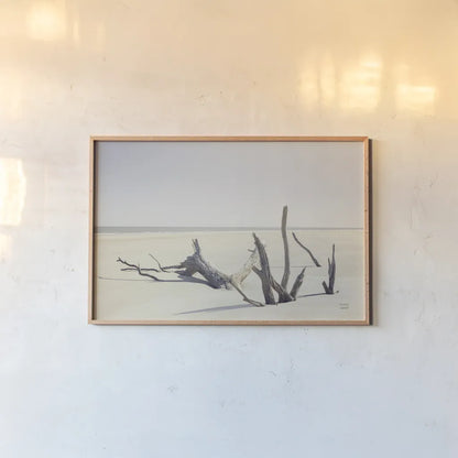 Georgia Driftwood I by Nathan Larson. shown as a paper print in a natural frame. Available as a archival giclee rolled canvas, fine art paper, or poster print. SKU 85273i.
