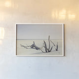 Georgia Driftwood I by Nathan Larson. shown as a paper print in a white frame. Available as a archival giclee rolled canvas, fine art paper, or poster print. SKU 85273i.