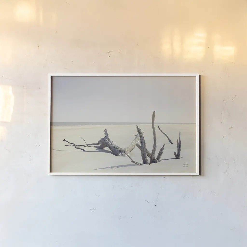 Georgia Driftwood I by Nathan Larson. shown as a paper print in a white frame. Available as a archival giclee rolled canvas, fine art paper, or poster print. SKU 85273i.