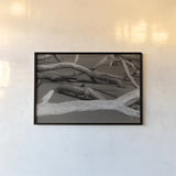 Georgia Driftwood II by Nathan Larson. shown as a paper print in a black flame. Available as a archival giclee rolled canvas, fine art paper, or poster print. SKU 85274i.