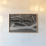 Georgia Driftwood II by Nathan Larson. shown as a paper print in a natural frame. Available as a archival giclee rolled canvas, fine art paper, or poster print. SKU 85274i.