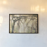 Georgia Rays by Nathan Larson. shown as a paper print in a black flame. Available as a archival giclee rolled canvas, fine art paper, or poster print. SKU 97951i.