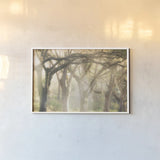 Georgia Rays by Nathan Larson. shown as a paper print in a white frame. Available as a archival giclee rolled canvas, fine art paper, or poster print. SKU 97951i.