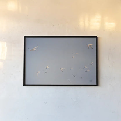 Georgia Seagulls I by Nathan Larson. shown as a paper print in a black flame. Available as a archival giclee rolled canvas, fine art paper, or poster print. SKU 85270i.