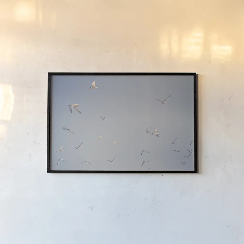 Georgia Seagulls III by Nathan Larson. shown as a paper print in a black flame. Available as a archival giclee rolled canvas, fine art paper, or poster print. SKU 85272i.