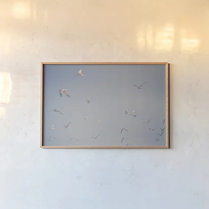 Georgia Seagulls III by Nathan Larson. shown as a paper print in a natural frame. Available as a archival giclee rolled canvas, fine art paper, or poster print. SKU 85272i.