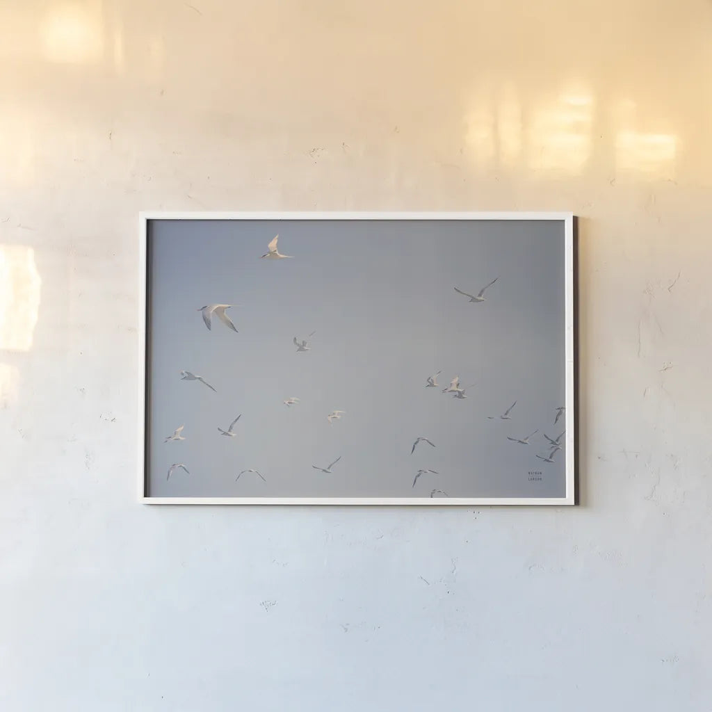 Georgia Seagulls III by Nathan Larson. shown as a paper print in a white frame. Available as a archival giclee rolled canvas, fine art paper, or poster print. SKU 85272i.