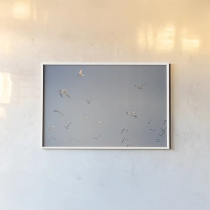 Georgia Seagulls III by Nathan Larson. shown as a paper print in a white frame. Available as a archival giclee rolled canvas, fine art paper, or poster print. SKU 85272i.