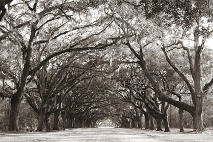 Georgia Stroll by Nathan Larson. SKU 97581i. Archival Giclee Fine art print for wall decor.
