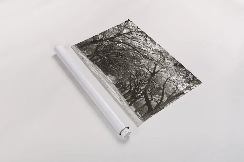 Georgia Stroll by Nathan Larson. shown as a rolled paper print. Available as archival giclee rolled canvas, fine art paper, or poster print. SKU 97581i.