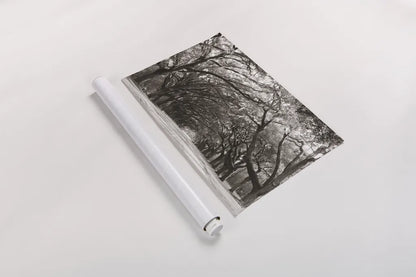 Georgia Stroll by Nathan Larson. shown as a rolled paper print. Available as archival giclee rolled canvas, fine art paper, or poster print. SKU 97581i.