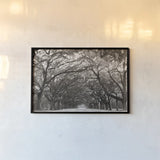 Georgia Stroll by Nathan Larson. shown as a paper print in a black flame. Available as a archival giclee rolled canvas, fine art paper, or poster print. SKU 97581i.