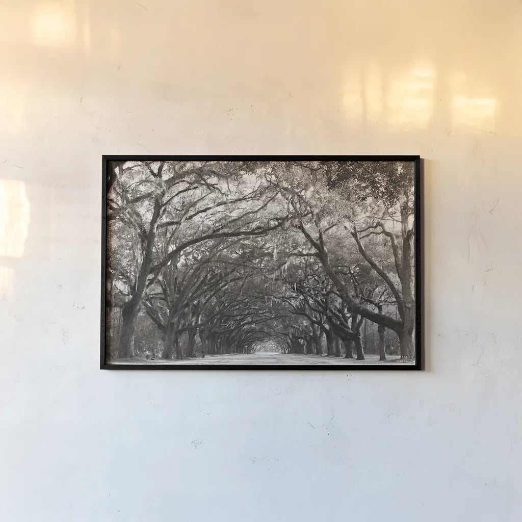 Georgia Stroll by Nathan Larson. shown as a paper print in a black flame. Available as a archival giclee rolled canvas, fine art paper, or poster print. SKU 97581i.