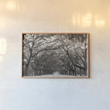 Georgia Stroll by Nathan Larson. shown as a paper print in a natural frame. Available as a archival giclee rolled canvas, fine art paper, or poster print. SKU 97581i.