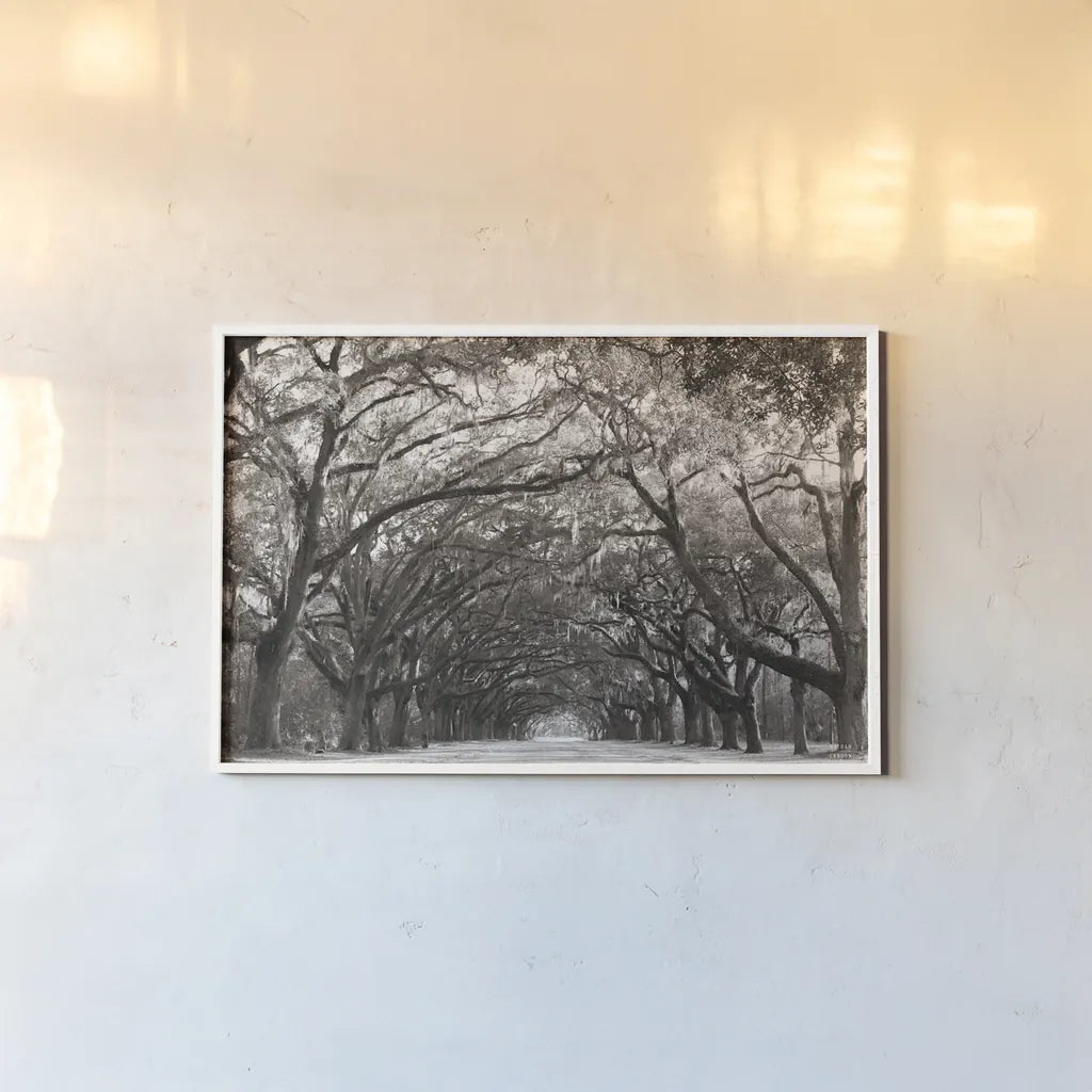 Georgia Stroll by Nathan Larson. shown as a paper print in a white frame. Available as a archival giclee rolled canvas, fine art paper, or poster print. SKU 97581i.