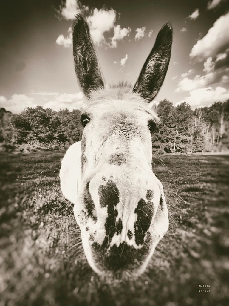 Give Me Treats Sepia by Nathan Larson