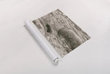Glide by Nathan Larson. shown as a rolled paper print. Available as archival giclee rolled canvas, fine art paper, or poster print. SKU 97911i.