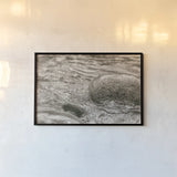 Glide by Nathan Larson. shown as a paper print in a black flame. Available as a archival giclee rolled canvas, fine art paper, or poster print. SKU 97911i.