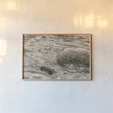 Glide by Nathan Larson. shown as a paper print in a natural frame. Available as a archival giclee rolled canvas, fine art paper, or poster print. SKU 97911i.