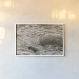 Glide by Nathan Larson. shown as a paper print in a white frame. Available as a archival giclee rolled canvas, fine art paper, or poster print. SKU 97911i.