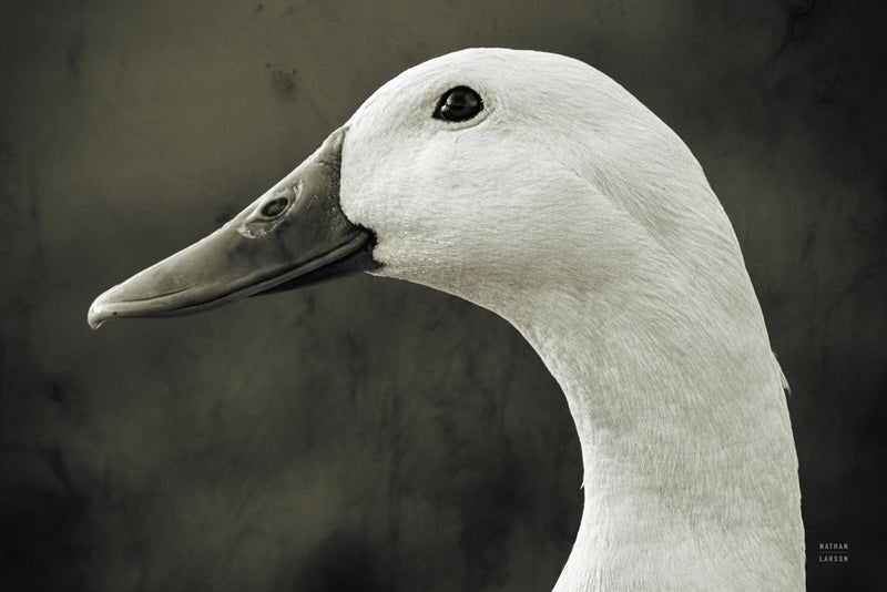 Good Side by Nathan Larson