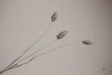 Grass Study by Nathan Larson. SKU 76846i. Archival Giclee Fine art print for wall decor.