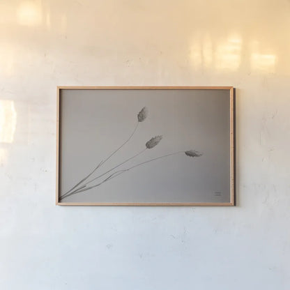 Grass Study by Nathan Larson. shown as a paper print in a natural frame. Available as a archival giclee rolled canvas, fine art paper, or poster print. SKU 76846i.