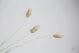 Grass Study Color by Nathan Larson. SKU 77004i. Archival Giclee Fine art print for wall decor.