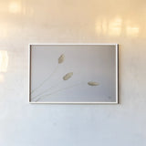 Grass Study Color by Nathan Larson. shown as a paper print in a white frame. Available as a archival giclee rolled canvas, fine art paper, or poster print. SKU 77004i.