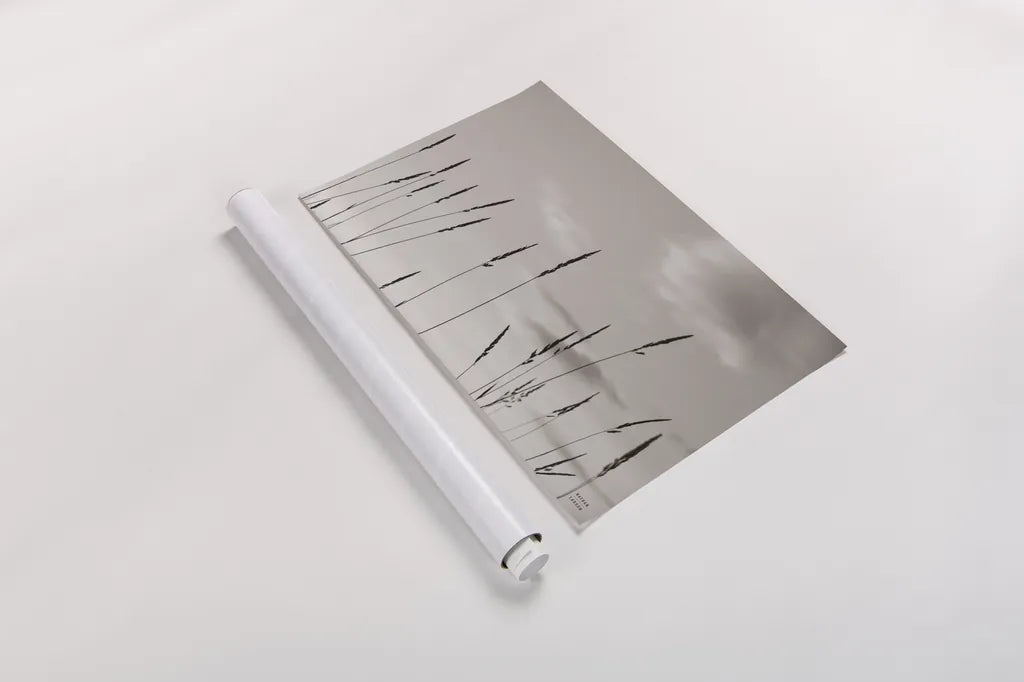 Grasslands by Nathan Larson. shown as a rolled paper print. Available as archival giclee rolled canvas, fine art paper, or poster print. SKU 83985i.