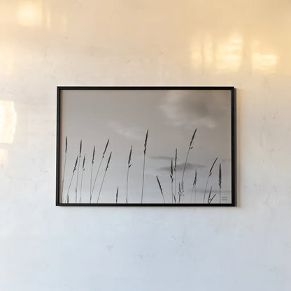Grasslands by Nathan Larson. shown as a paper print in a black flame. Available as a archival giclee rolled canvas, fine art paper, or poster print. SKU 83985i.