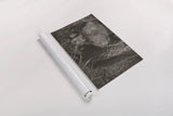Grazing Grizzly Sepia by Nathan Larson. shown as a rolled paper print. Available as archival giclee rolled canvas, fine art paper, or poster print. SKU 92568i.