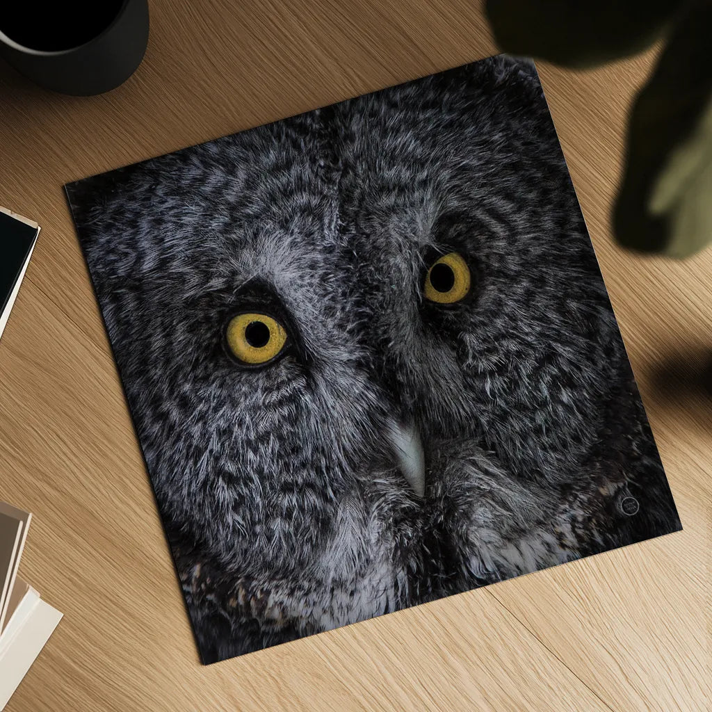 Great Grey Owl by Nathan Larson. Shown as a detailed flat fine art print, highlighting archival giclee quality. Available as an archival giclee rolled canvas, fine art paper, or poster print. SKU 70524a.