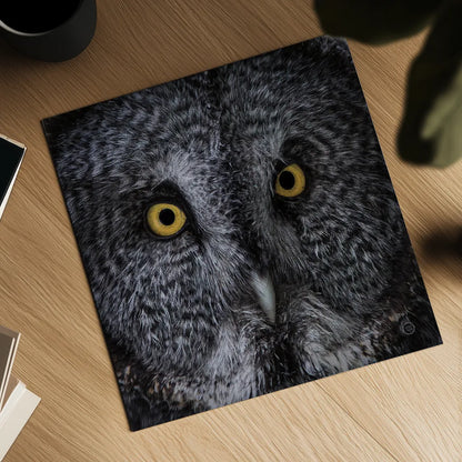 Great Grey Owl by Nathan Larson. Shown as a detailed flat fine art print, highlighting archival giclee quality. Available as an archival giclee rolled canvas, fine art paper, or poster print. SKU 70524a.