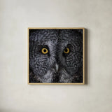 Great Grey Owl by Nathan Larson. Shown in a natural wood glass frame for a timeless modern aesthetic. Available as an archival giclee rolled canvas, fine art paper, or poster print. SKU 70524a.