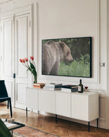 Grizzly Profile by Nathan Larson. shown as a framed stretched canvas in a living room above a console. Available as a archival giclee rolled canvas, fine art paper, or poster print. SKU 92570i.