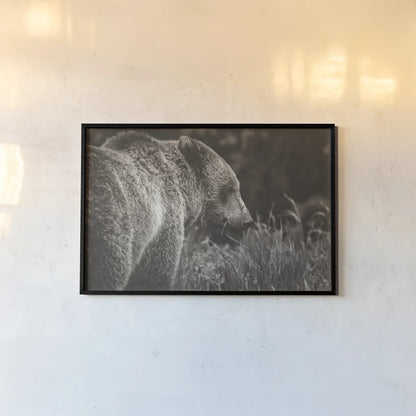 Grizzly Profile BW by Nathan Larson. shown as a paper print in a black flame. Available as a archival giclee rolled canvas, fine art paper, or poster print. SKU 92571i.