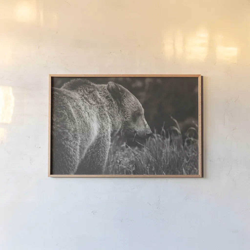 Grizzly Profile BW by Nathan Larson. shown as a paper print in a natural frame. Available as a archival giclee rolled canvas, fine art paper, or poster print. SKU 92571i.