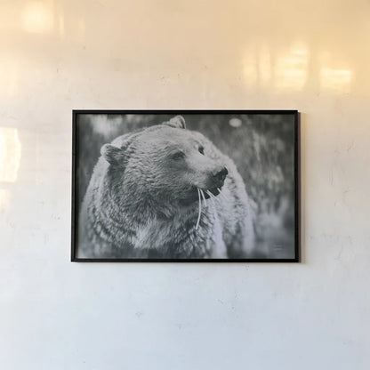 Grizzly Snack by Nathan Larson. shown as a paper print in a black flame. Available as a archival giclee rolled canvas, fine art paper, or poster print. SKU 92572i.