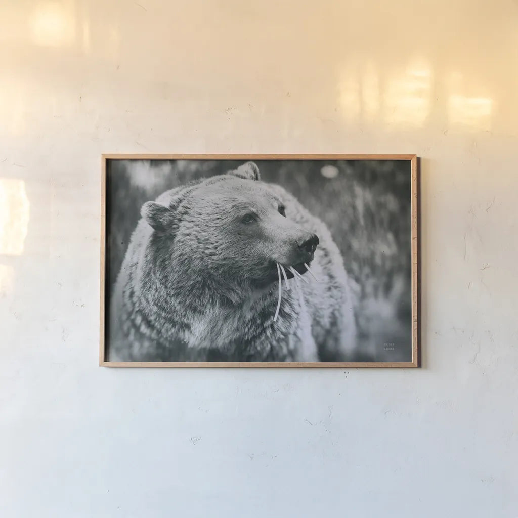 Grizzly Snack by Nathan Larson. shown as a paper print in a natural frame. Available as a archival giclee rolled canvas, fine art paper, or poster print. SKU 92572i.
