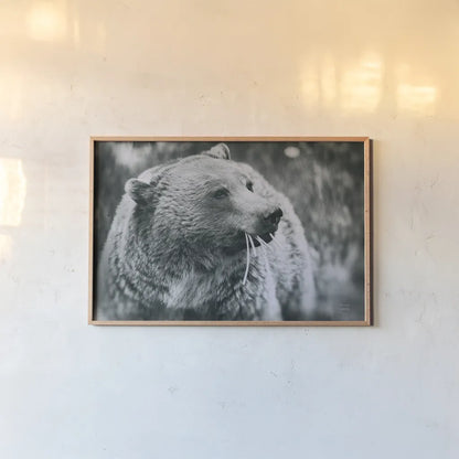 Grizzly Snack by Nathan Larson. shown as a paper print in a natural frame. Available as a archival giclee rolled canvas, fine art paper, or poster print. SKU 92572i.