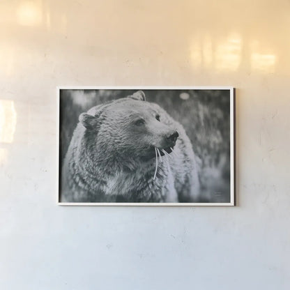 Grizzly Snack by Nathan Larson. shown as a paper print in a white frame. Available as a archival giclee rolled canvas, fine art paper, or poster print. SKU 92572i.