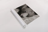 Hello Bear by Nathan Larson. shown as a rolled paper print. Available as archival giclee rolled canvas, fine art paper, or poster print. SKU 100755i.