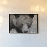 Hello Bear by Nathan Larson. shown as a paper print in a black flame. Available as a archival giclee rolled canvas, fine art paper, or poster print. SKU 100755i.