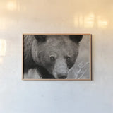 Hello Bear by Nathan Larson. shown as a paper print in a natural frame. Available as a archival giclee rolled canvas, fine art paper, or poster print. SKU 100755i.