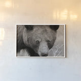 Hello Bear by Nathan Larson. shown as a paper print in a white frame. Available as a archival giclee rolled canvas, fine art paper, or poster print. SKU 100755i.