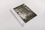 Hidden Falls by Nathan Larson. shown as a rolled paper print. Available as archival giclee rolled canvas, fine art paper, or poster print. SKU 82410i.
