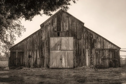 Hiding from the Rain by Nathan Larson. SKU 78865i. Archival Giclee Fine art print for wall decor.